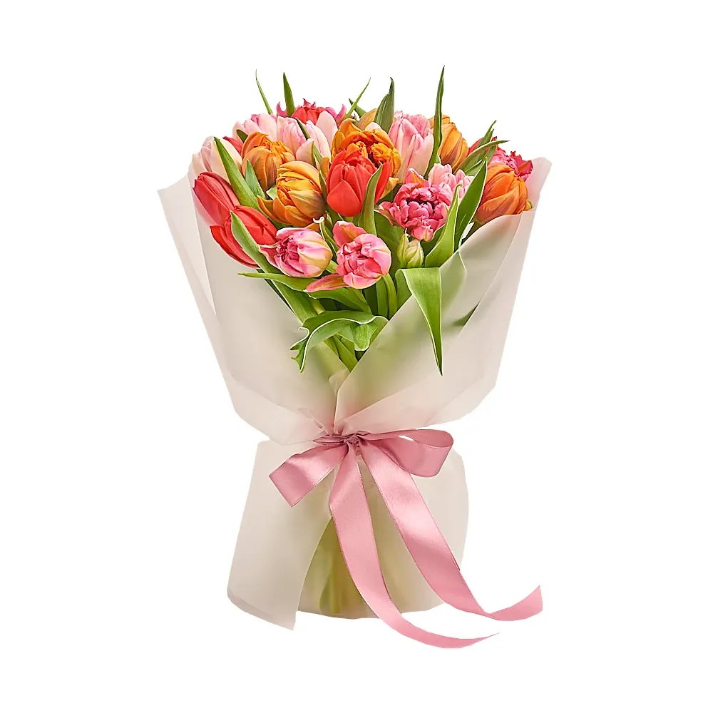 Букет из 25 пионовидных разноцветных тюльпанов